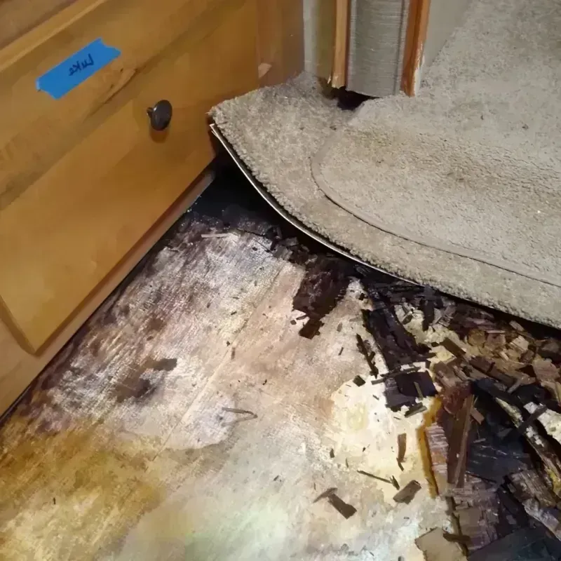 Wood Floor Water Damage in Camanche, IA